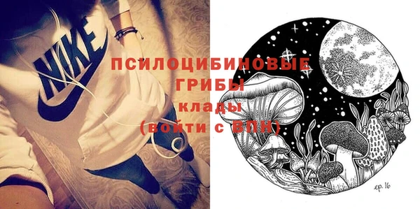 стафф Абаза