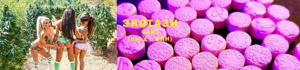 гидра Абинск